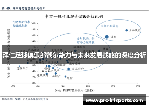 拜仁足球俱乐部戴尔能力与未来发展战略的深度分析